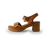 Notre-V Pumps
