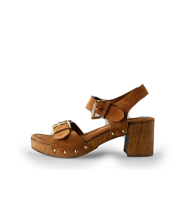 Notre-V Pumps