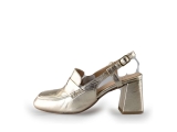 Notre-V Pumps
