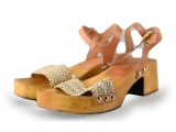 Notre-V Pumps