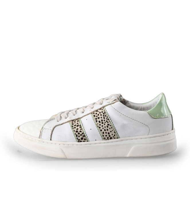 Hip Shoe Style Sneakers