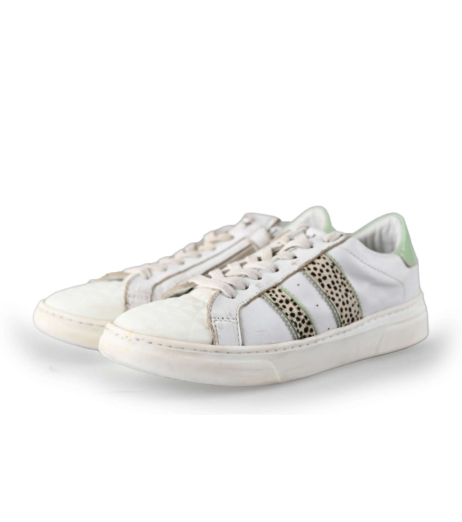 Hip Shoe Style Sneakers