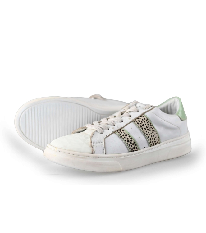 Hip Shoe Style Sneakers