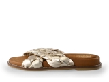 Notre-V Slippers