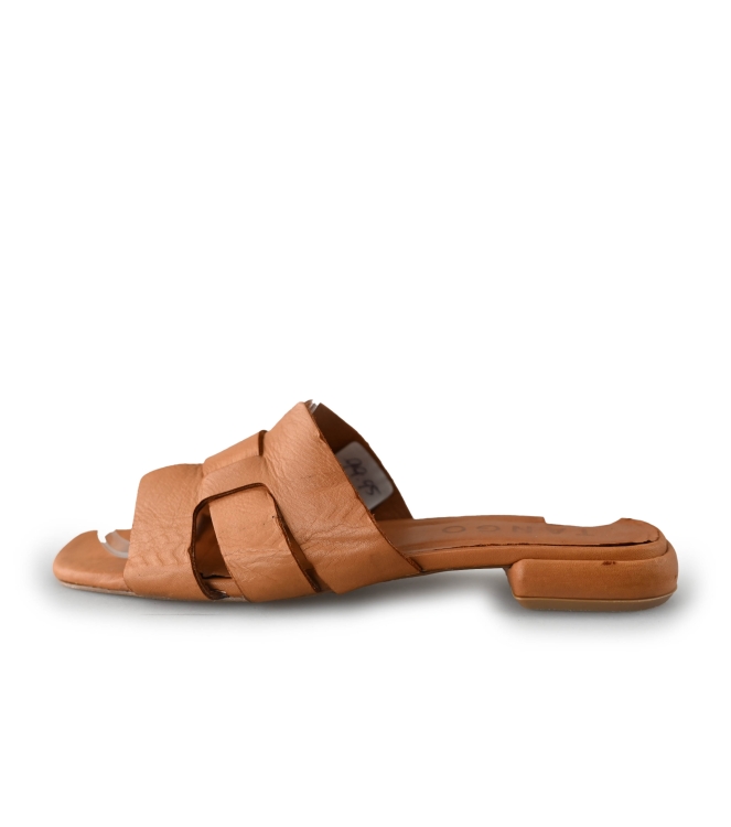 Tango Slippers
