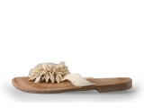 Lazamani Slippers
