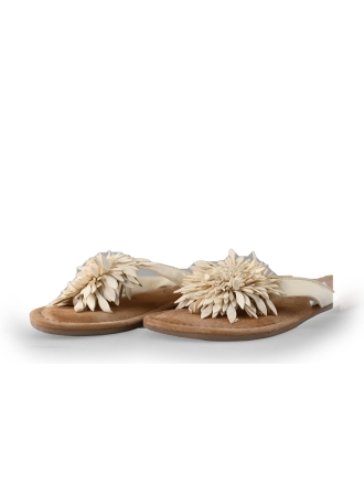  Lazamani Slippers 219536
 [MAAT] 38
 