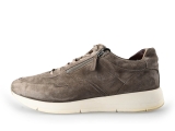 Greve Sneakers