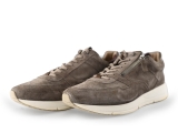 Greve Sneakers