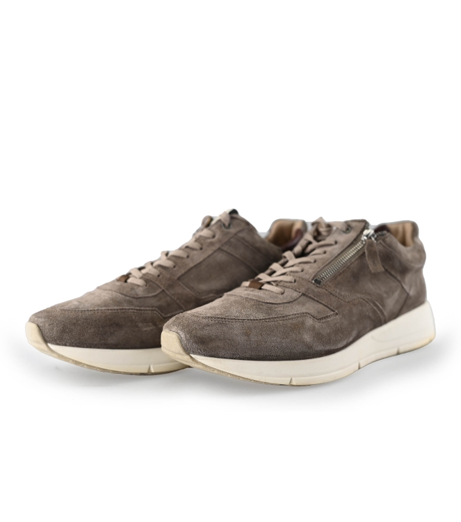 Greve Sneakers