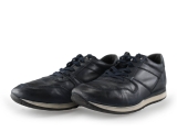 Greve Sneakers