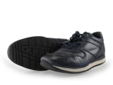Greve Sneakers