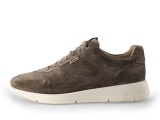 Greve Sneakers