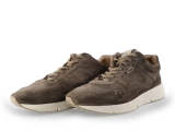 Greve Sneakers