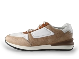 Greve Sneakers