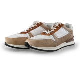 Greve Sneakers