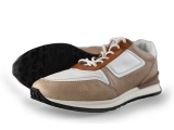 Greve Sneakers