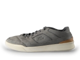 Lacoste Sneakers