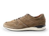 Greve Sneakers