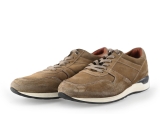 Greve Sneakers