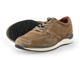Greve Sneakers