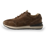 Greve Sneakers