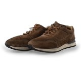 Greve Sneakers
