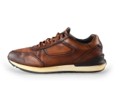 Greve Sneakers