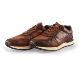 Greve Sneakers