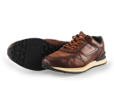Greve Sneakers