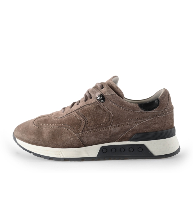Greve Sneakers