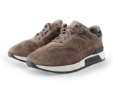 Greve Sneakers
