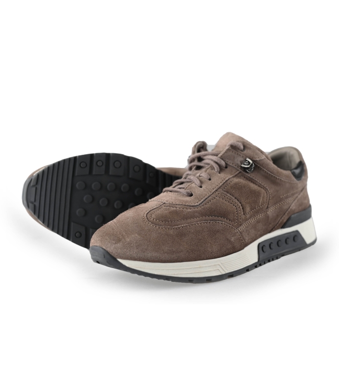 Greve Sneakers