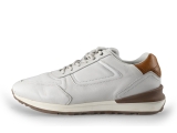 Greve Sneakers