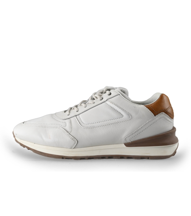 Greve Sneakers