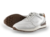 Greve Sneakers