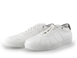 Greve Sneakers