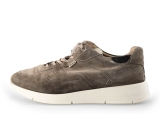 Greve Sneakers