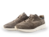 Greve Sneakers