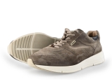 Greve Sneakers