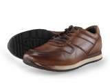Greve Sneakers