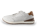 Greve Sneakers