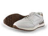 Greve Sneakers