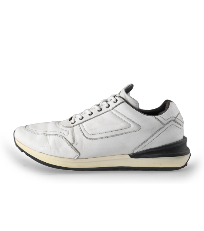 Greve Sneakers