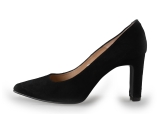 Nelson Pumps