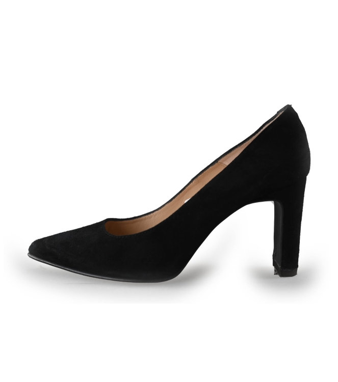 Nelson Pumps