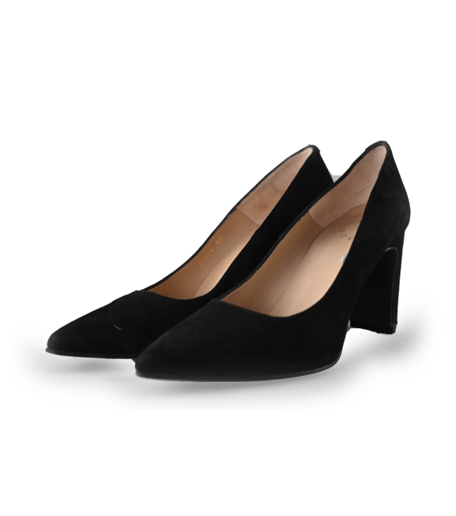 Nelson Pumps