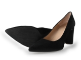 Nelson Pumps