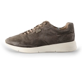 Greve Sneakers