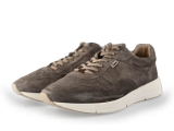 Greve Sneakers